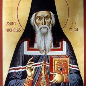Sfântul Nicolae Velimirovici / Saint Nicolas Velimirovitch
